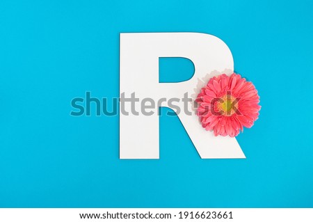 letter R with natural gerbera color, minimal concept with message space
