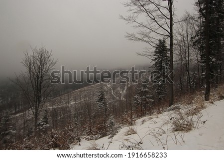 Beautiful winter in polish mountains. Cloudy, moody day up the hills. 