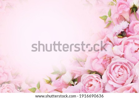 Delicate blossoming pink and white rose frame, blooming flowers pastel festive background, soft bouquet floral card, toned	
