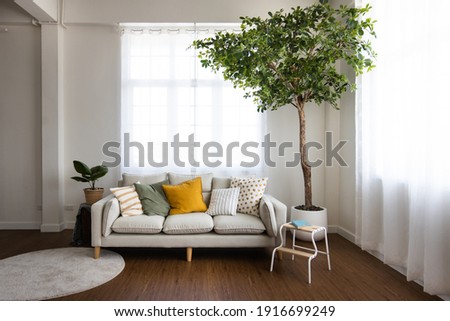 Stylish room in white color with comfortable sofa and tree
