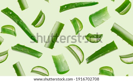 Aloe vera seamless pattern on green background. Royalty-Free Stock Photo #1916702708