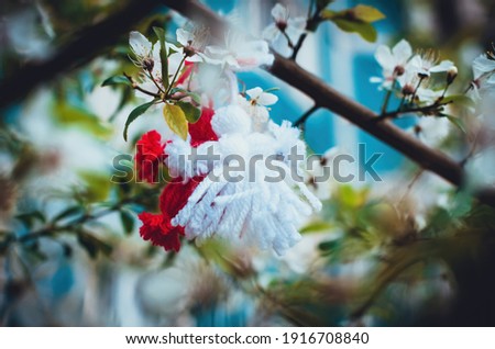 Red and white beautiful martisor hanging on the branches of the blooming tree. Martenitsa beginning of spring celebration. Romania and Bulgaria tradition. White flowers