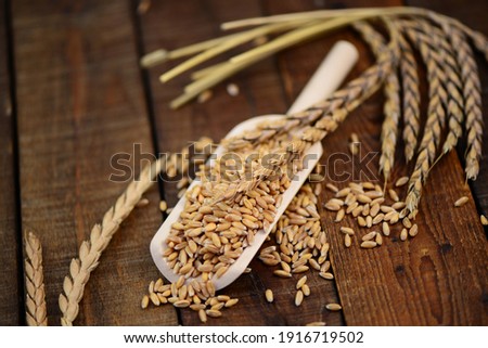 Spelt grains with spelt cereal on wooden background Royalty-Free Stock Photo #1916719502