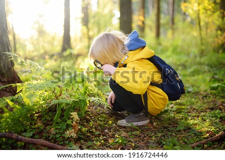Preschooler boy is exploring nature with magnifying glass. Little child is looking on leaf of fern with magnifier. Summer vacation for inquisitive kids in forest. Hiking. Boy-scout Royalty-Free Stock Photo #1916724446