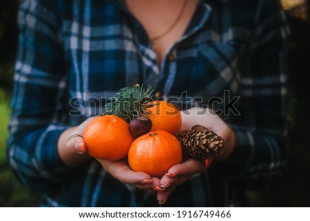 Woman in plaid shirt takes an tangerines, cones, fir branches and chestnuts in her hands.
