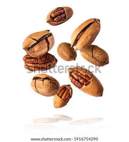 Fresh tasty pecan nuts falling in the air isolated on white background. Food levitation concept. High resolution image.