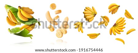A set with Fresh ripe baby bananas with leaves falling in the air isolated on white background. Food levitation concept. High resolution image Royalty-Free Stock Photo #1916754446