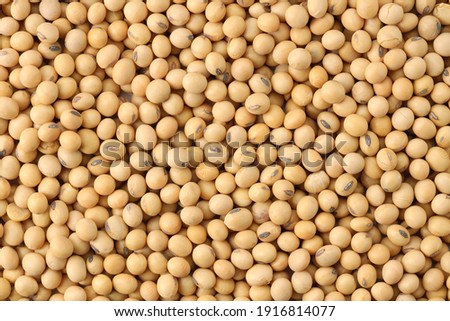 Close up soybeans background top view using for your advertising Royalty-Free Stock Photo #1916814077
