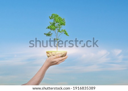 Saving Earth concept. Human hand holding Globe with a tree over blue sky background. Elements of this image furnished by NASA