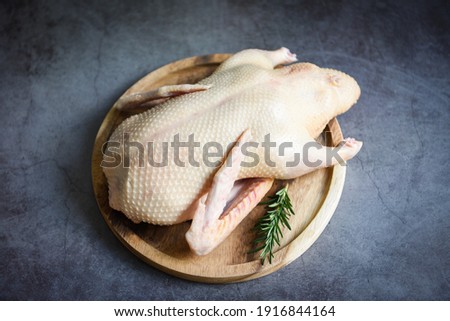Raw duck with herb spices rosemary ready to cook on dark background, Fresh duck meat on wooden tray for food, Whole duck - top view 