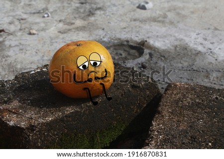 cute sad orange orange fruit in solitude, nature art