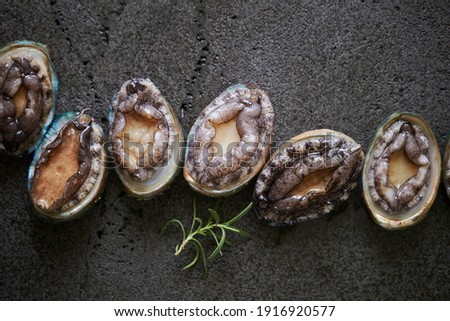 Fresh raw abalone on marble  Royalty-Free Stock Photo #1916920577