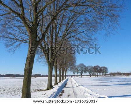 Winter time near Borken in Westphalia