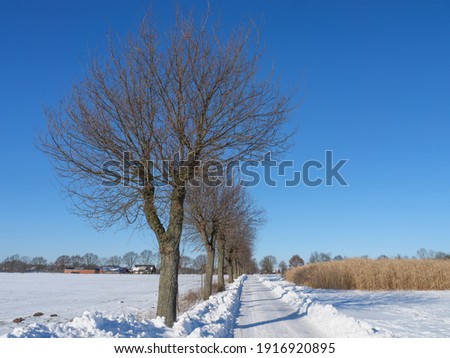 Winter time near Borken in Westphalia
