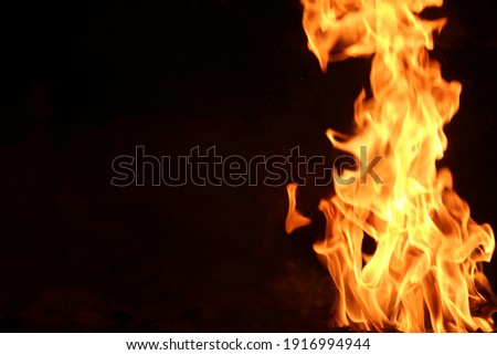 Flames in the winter forest at night.