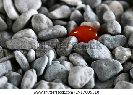 Orange carnelian among the grey stones of the gravel. The uniqueness of the individual, the concept of difference from the rest. A bright stone stands out from the gray mass of ordinary stones. Royalty-Free Stock Photo #1917006518