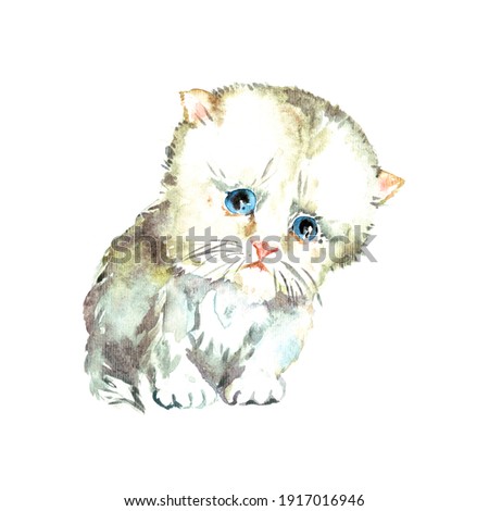 Fluffy small kitten sitting, isolated on white watercolor illustration
