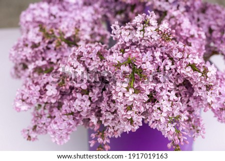Spring holiday card with bouquet of Syringa vulgaris purple lilac blossom close-up