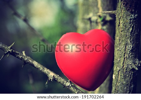 Red heart shape on the tree