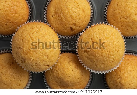 flatley muffins made from white flour, freshly baked. Lie in a baking dish. pattern of cupcakes. confectionery texture concept. High quality photo