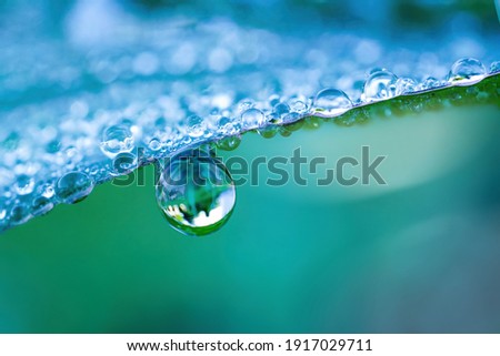 Large drop water reflects environment. Nature spring photography — raindrops on plant leaf. Background image in turquoise and green tones with bokeh. Royalty-Free Stock Photo #1917029711