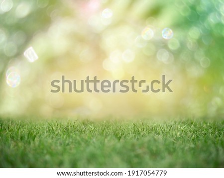 Background green grass in the foreground. Blurred Royalty-Free Stock Photo #1917054779