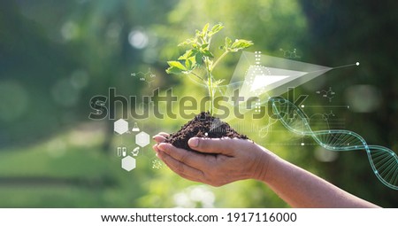 Biology laboratory nature and science, Plants with biochemistry structure and chemical formula on green background.   Royalty-Free Stock Photo #1917116000