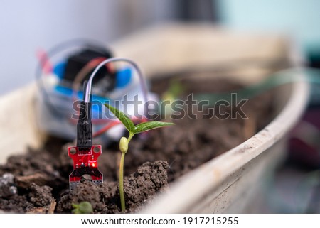 Soybean baby tree and Soil moisture sensor to determine soil moisture. Agriculture technology. Royalty-Free Stock Photo #1917215255