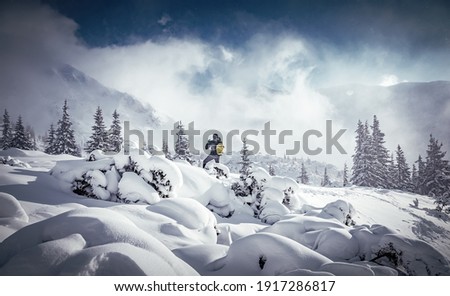 Wonderful Wintry Landscape. Snowcapped foggy mountains, frosen highland under sunlight. Wonderful winter scenery. Photographer taking picture of Stunning view of winter nature of Carpathian. Ukraine