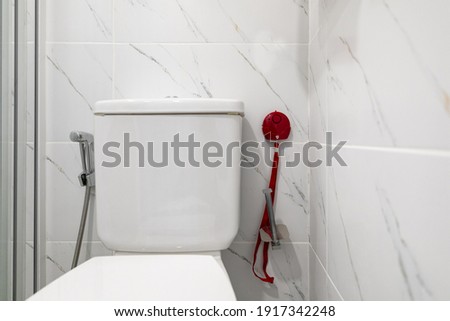 Toilet  Emergency press  system in the bathroom