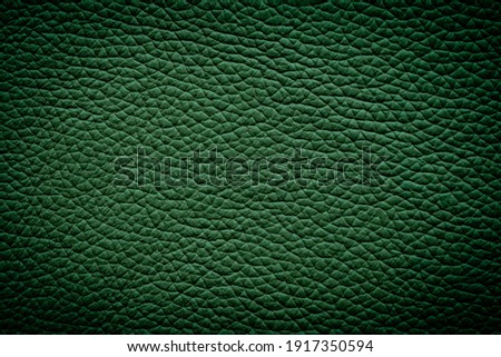 Green textured leather background. Abstract leather texture. Top view.