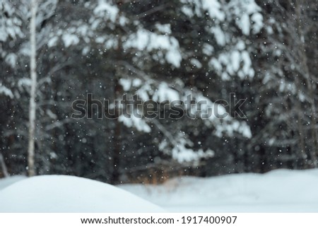 background texture of a snowstorm in a winter forest, large snowflakes flakes and a blurred background of snow-covered trees, a beautiful country landscape without people