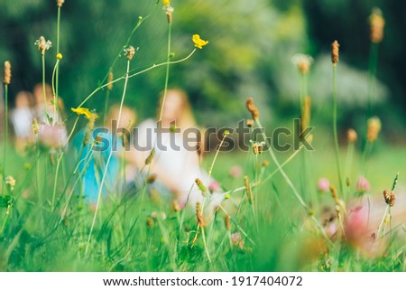Grass in the park on the background of a couple in love in a blur