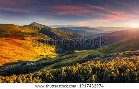 Wonderful atmosferic nature landscape of Carpatian moutains. stunning image morning picturesque scenery. vivid natural background. Awesome Alpine highland during sunset. used as background, wallpaper Royalty-Free Stock Photo #1917432974