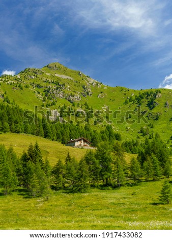 Mountain landscape at summer along the road to Mortirolo pass, in Brescia province, Lombardy, Italy