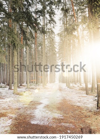 Winter landscape covered in snow with light streaking