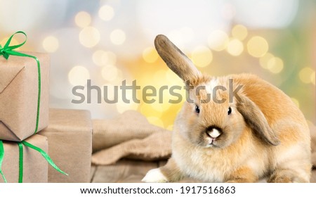 A cute fluffy rabbit sits on a desk against the background of Christmas lights