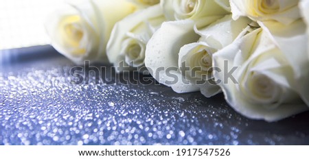 White roses with water drops on a black background.