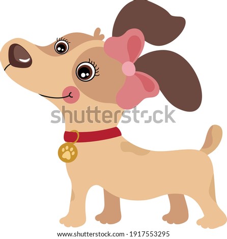 Sweet cute female puppy dog with ribbon bow