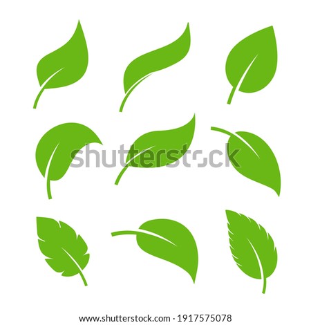 Leaf vector icon logo. Vegan leaves green eco flat herbal icon simple shape