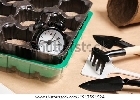 alarm clock and special peat tablets for planting seeds, gardening concept, spring planting, shovels, plates and soil for plants