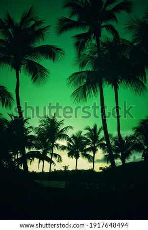 Sunset is black dark green Royalty-Free Stock Photo #1917648494