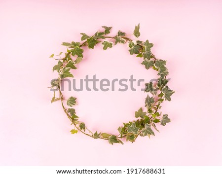 Round frame surrounded by ivy on pink background