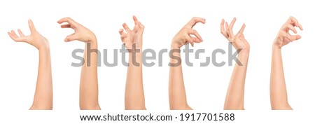 Set of Woman hands different gesturing  isolated on white background. Royalty-Free Stock Photo #1917701588
