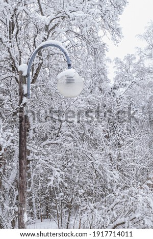 Lantern in the park. Winter, snowy landscape.