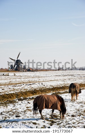 winter in Kinderdijk, Netherlands