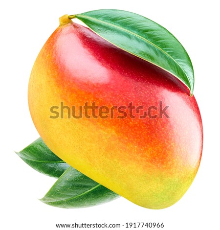 One Mango isolated on white background clipping path. Fresh fruits isolated on white background. Image stack full depth of field macro shot