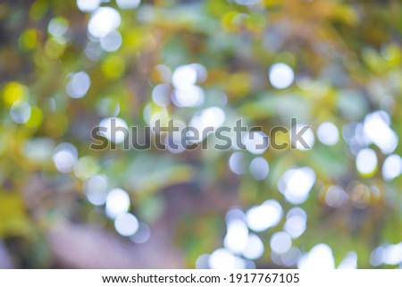 Beautiful nature, green background, round bokeh,light green bokeh light from nature green leaves on the tree in forest