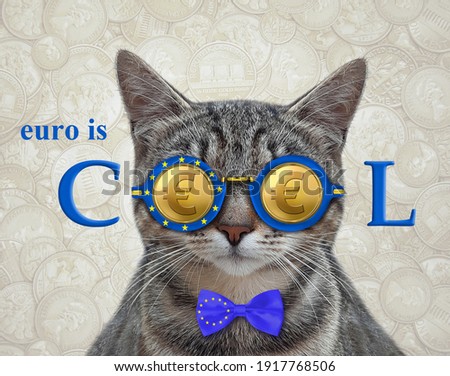 A gray cat in a patriotic bow tie is wearing euro cool glasses. Money coin background.