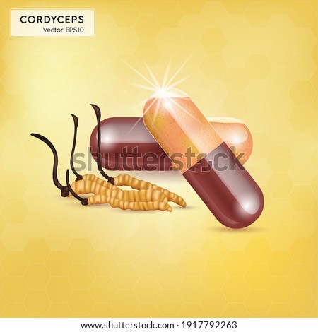 Cordyceps Sinensis. Traditional chinese herbs, Is a mushroom that using for medicine and food famous in Asian. Yellow orange color healthy mushroom. Vector EPS10 illustration